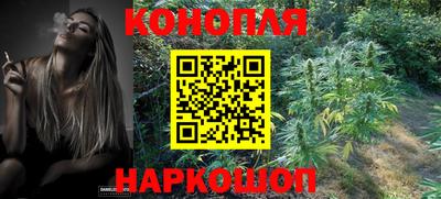 мяу мяу мука Будённовск