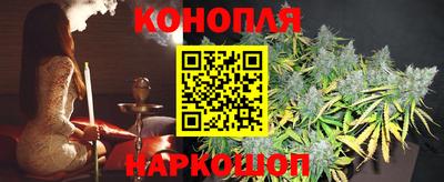 мяу мяу мука Будённовск